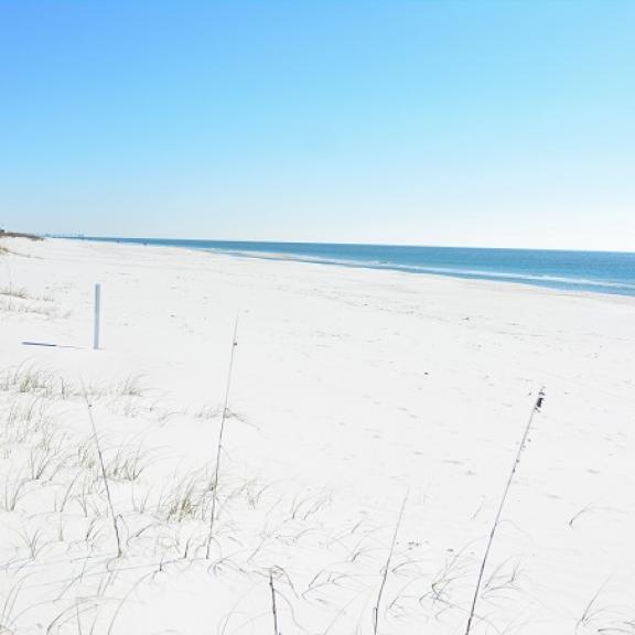 Beach Orange Beach AL