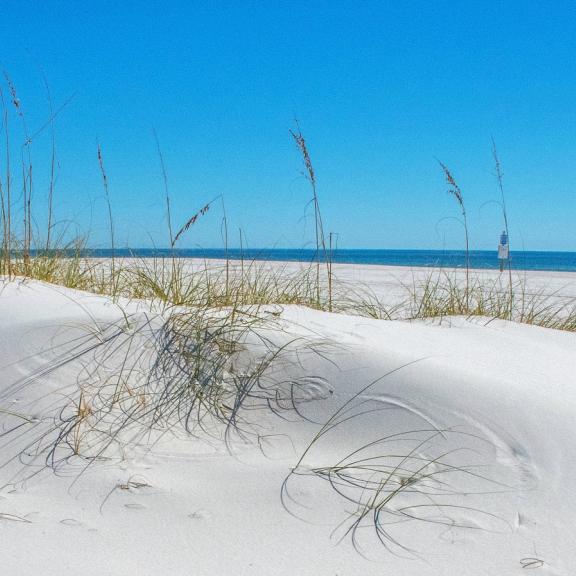 Orange Beach In the News