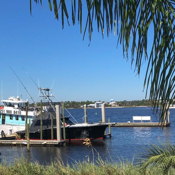 Boat Dock in Orange Beach AL