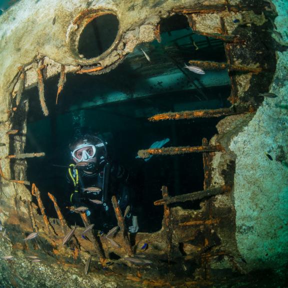 Scuba Dive on Alabama's Gulf Coast
