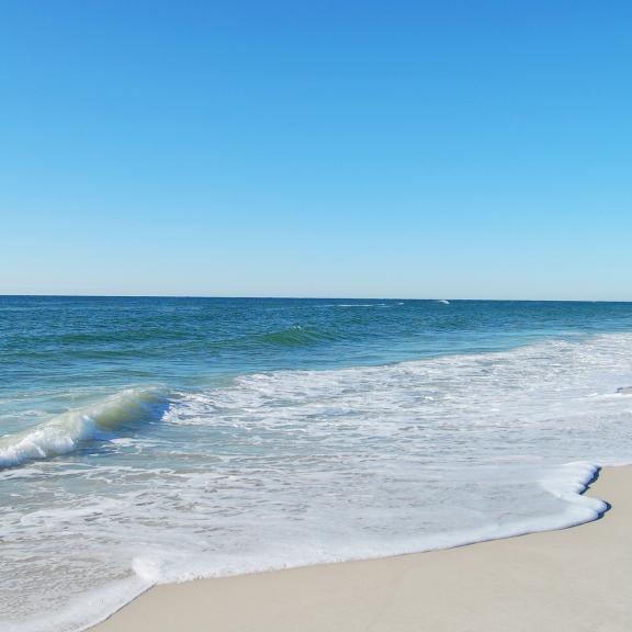 Orange Beach AL coastline