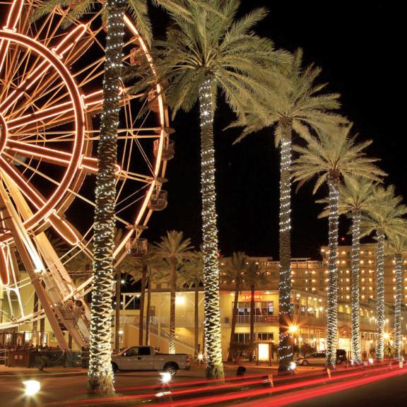 The Wharf in Orange Beach
