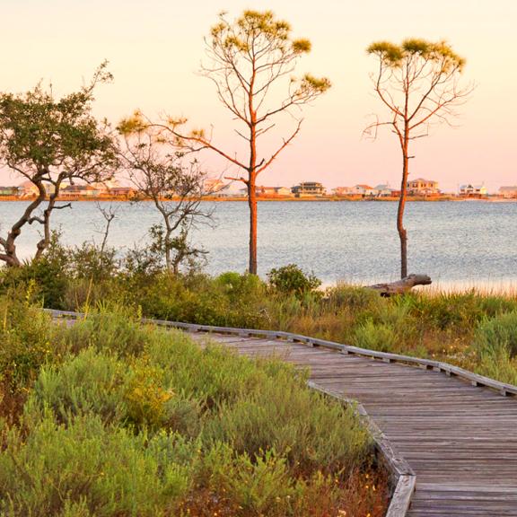 Bon Secour National Wildlife Refuge Trail
