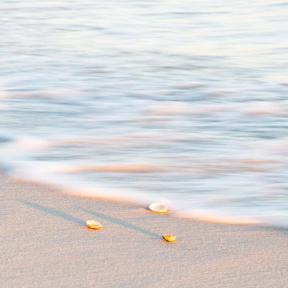 Beach Gulf Shores AL