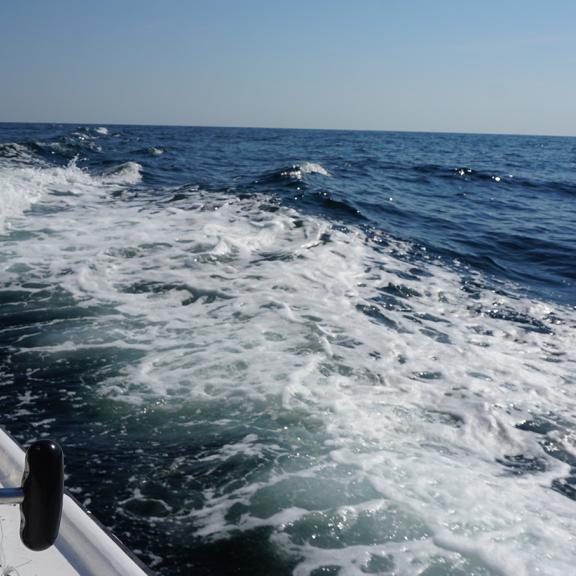 charter boat gulf shores