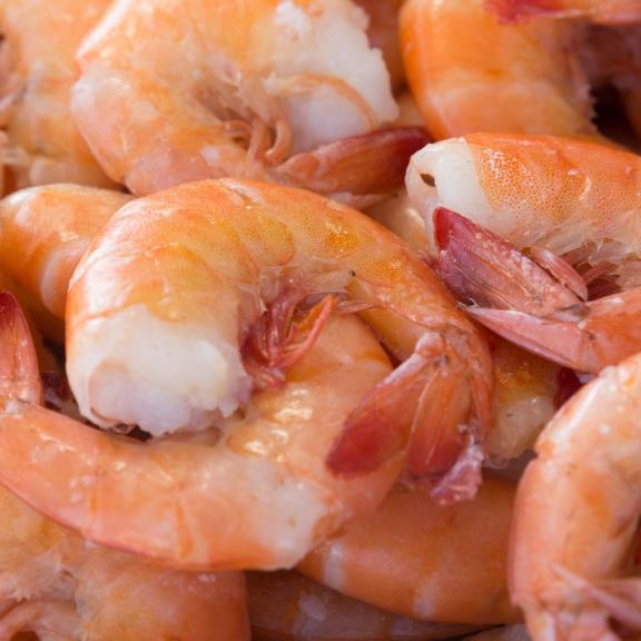 Shrimp Gulf Shores AL