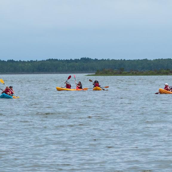 Kayak Tours Gulf Shores AL 