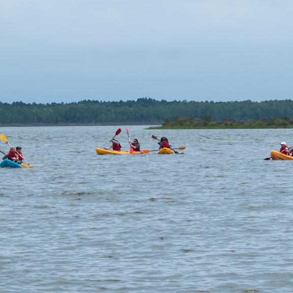 Kayak Tours Gulf Shores AL