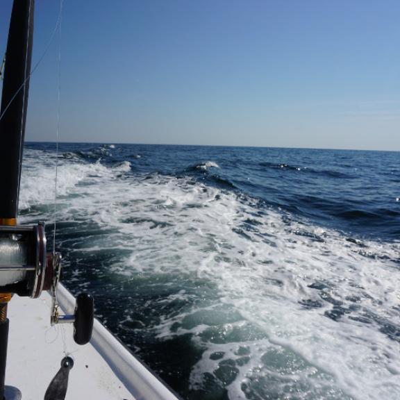 Offshore fishing Gulf Shores Orange Beach