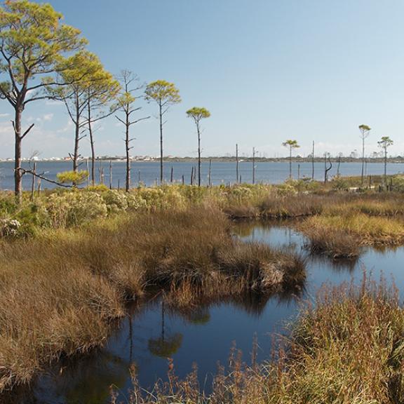 Fort Morgan Blueway