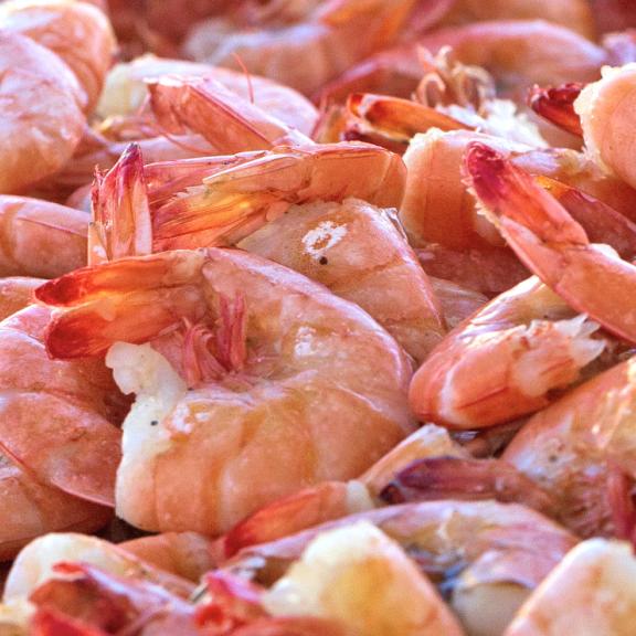 Fresh Gulf Shrimp