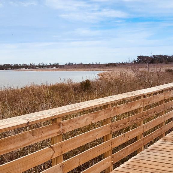 running beach, gulf shores