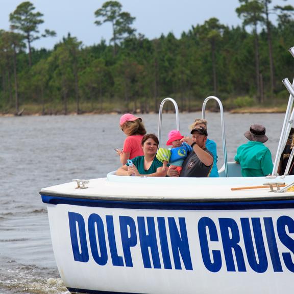 dolphin cruise gulf shores