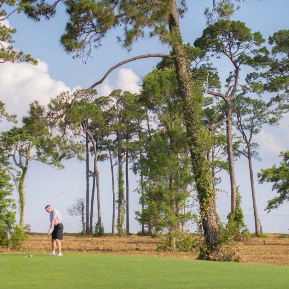 Gulf Shores Golf Club