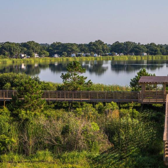 gulf state park trails