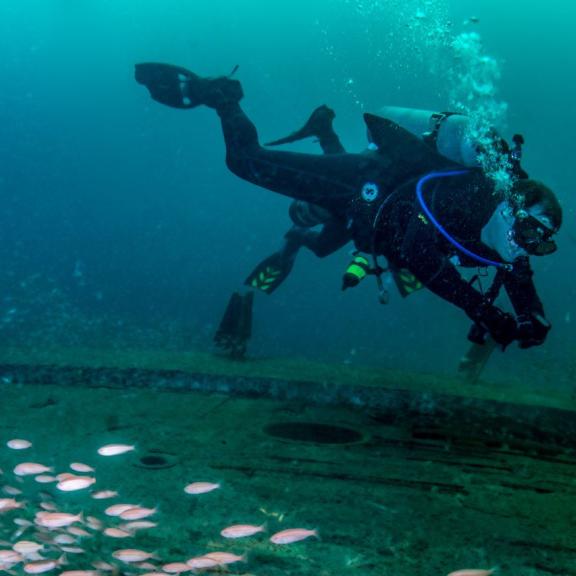 Scuba diving in Gulf Shores, AL