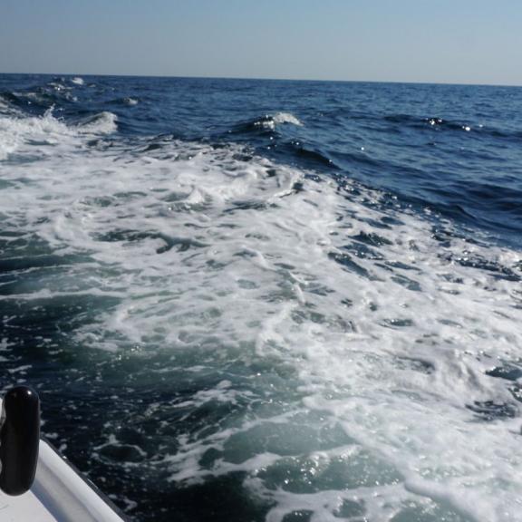 Back of a fishing charter Gulf Shores, AL