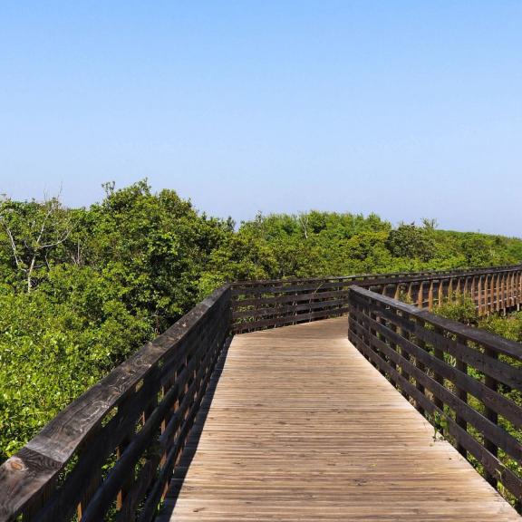 Wheelchair accessible trails found in Gulf State Park