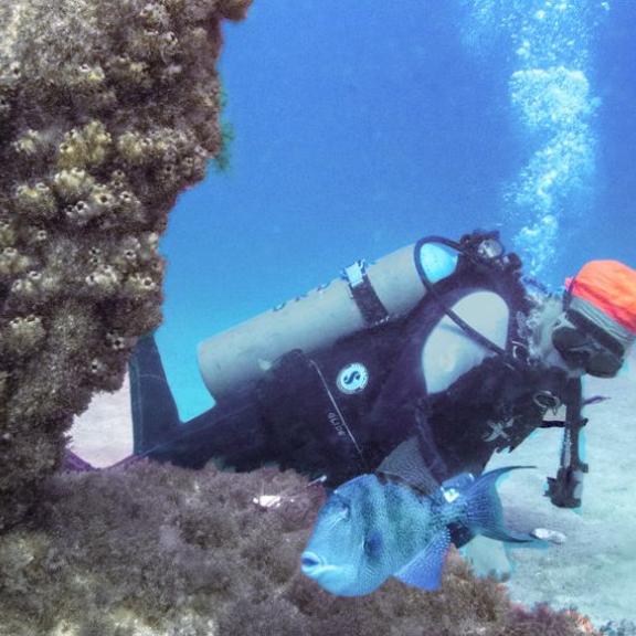 Diver at Poseidon's Playground off Alabama's beaches