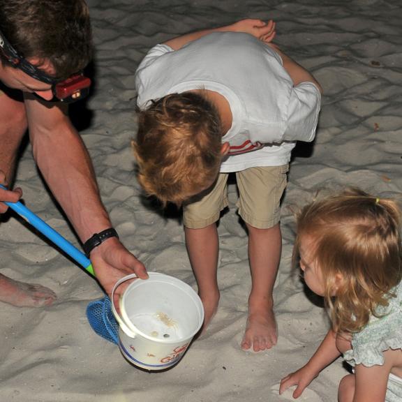 Family crab hunting on Alabama's Beaches