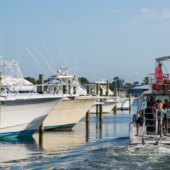 Down Under Dive Shop boat in Orange Beach, AL