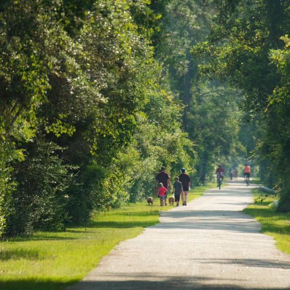 Hugh S. Branyon Backcountry Trail in Gulf State Park