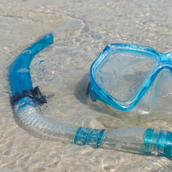 Snorkel gear on Alabama's beaches