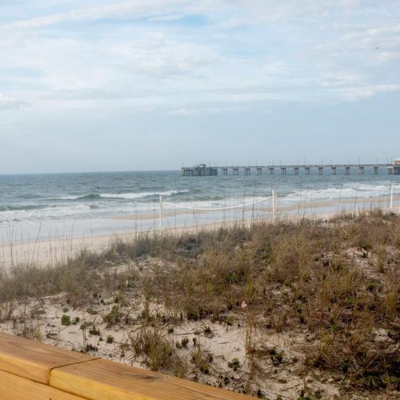 Gulf State Park public beach access