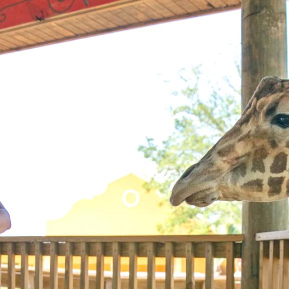 Alabama Gulf Coast Zoo