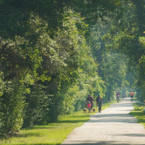 Explore nature at Gulf State Park
