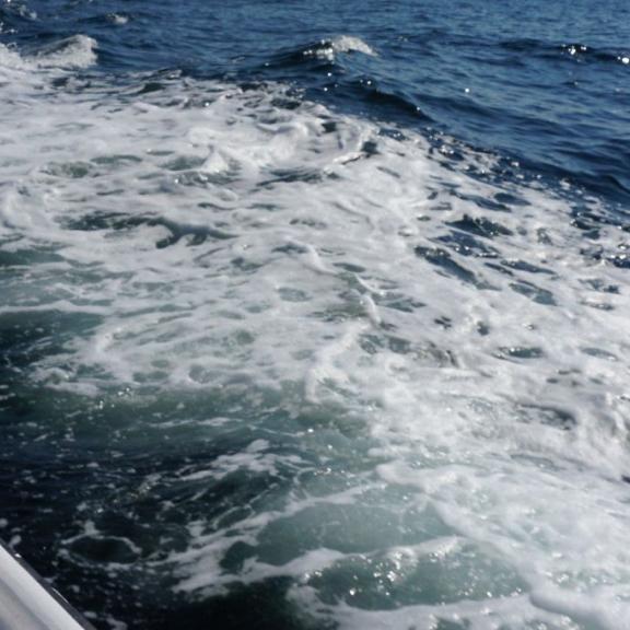 Offshore fishing on the Alabama Gulf Coast
