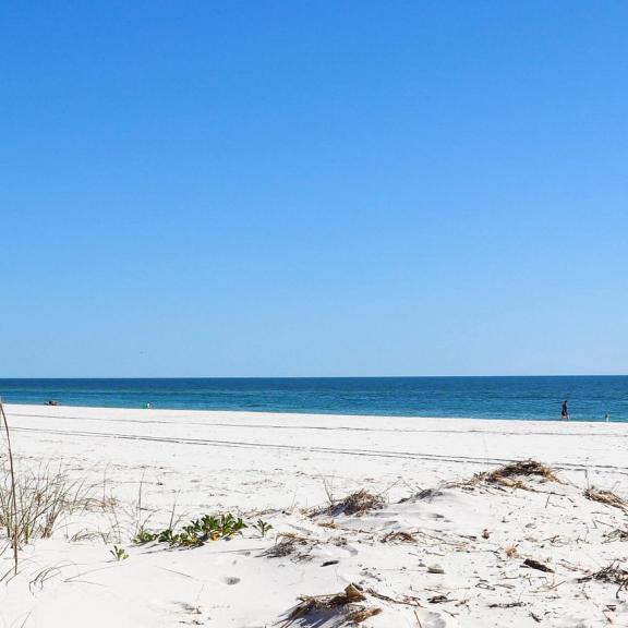 Alabama's sugar-white sand beaches