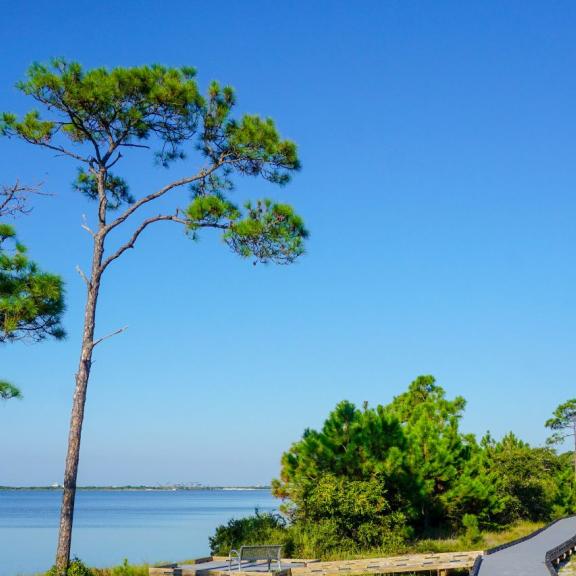 Waterfront trails at Bon Secour