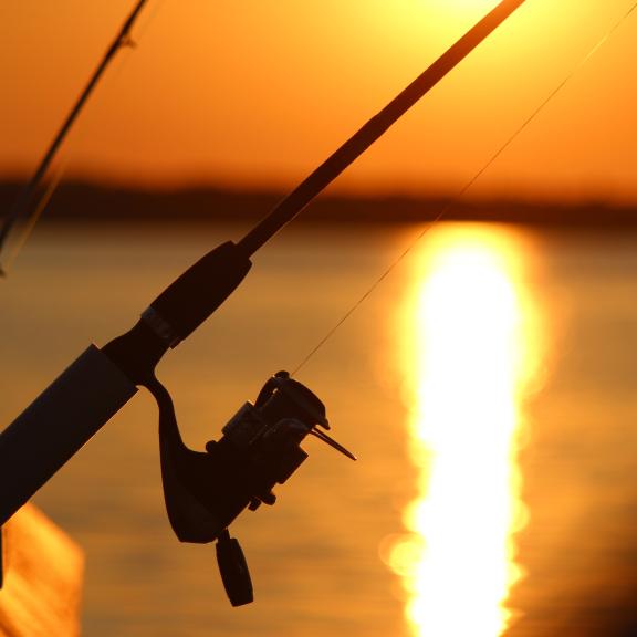 Fishing in Gulf Shores & Orange Beach