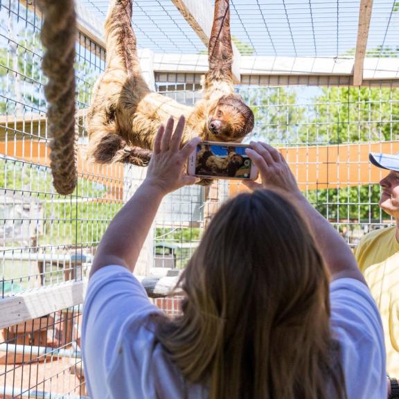 Zoo Encounters. Gulf Shores