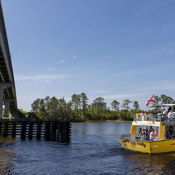 Dolphin Cruise Orange Beach
