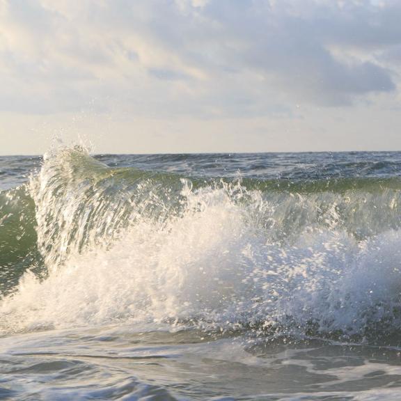 Gulf Shores Beach