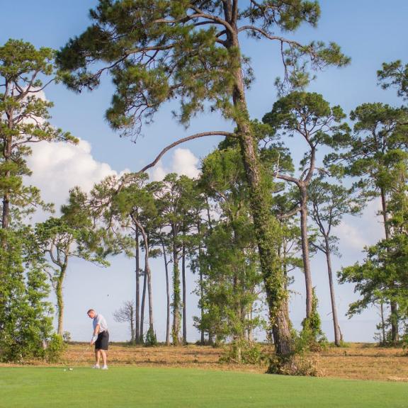 Peninsula Golf Club Gulf Shores
