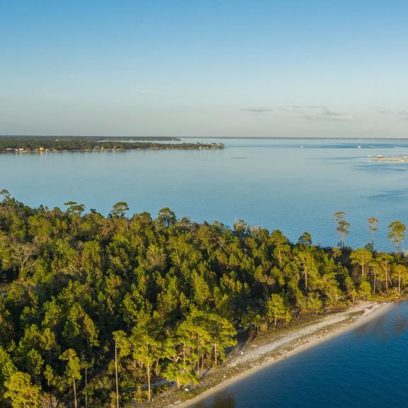 Alabama Gulf Coast Beaches