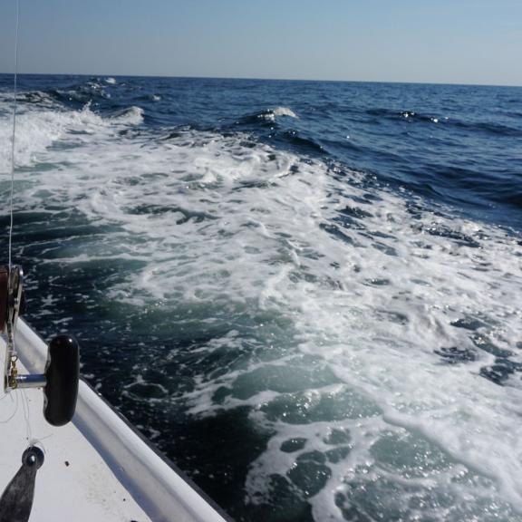 Off-Shore Fishing Gulf Shores