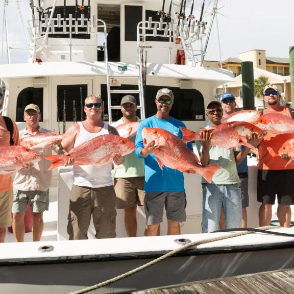 Red Snapper Gulf Shores