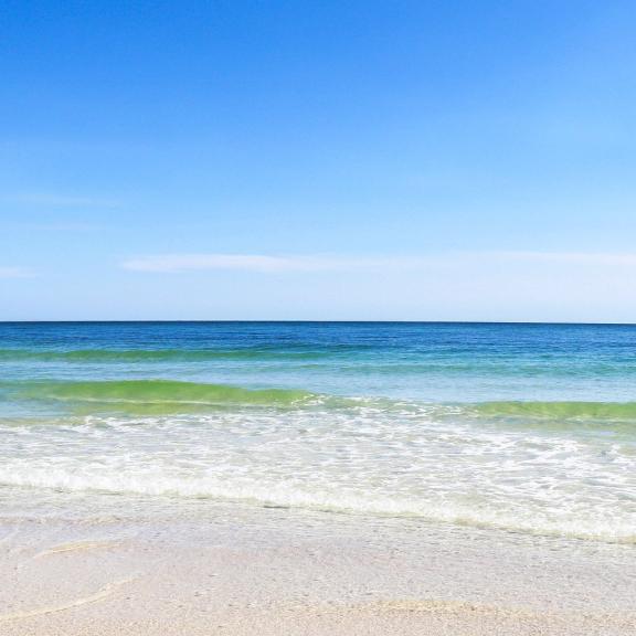 OBA News Blog Orange Beach News & Gulf Shores News