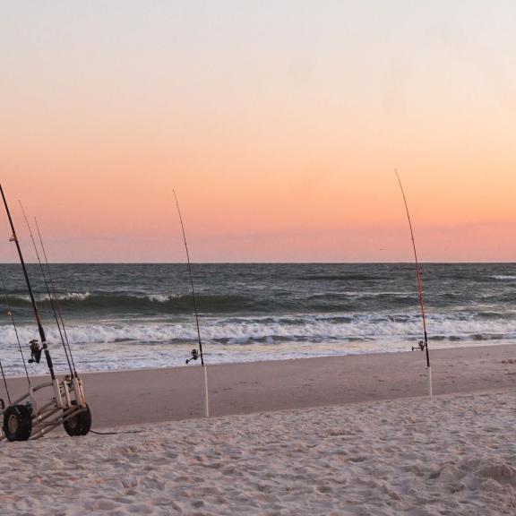 Surf Fishing Orange Beach