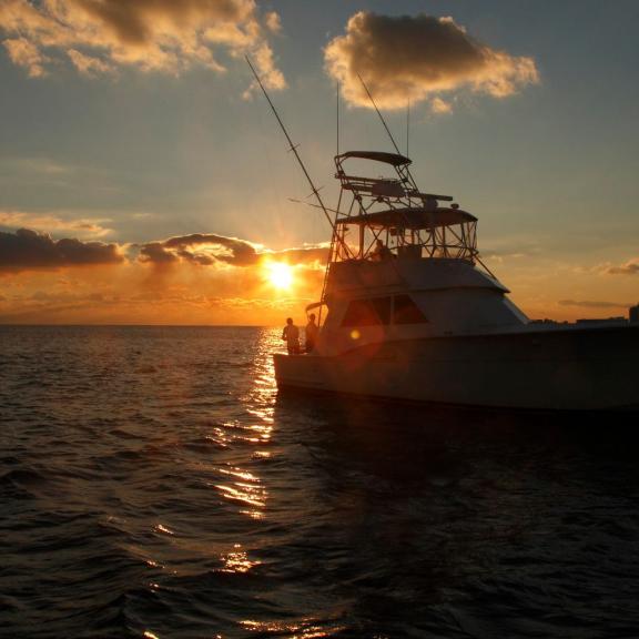 Night Fishing Orange Beach