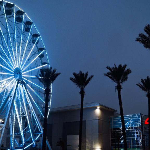The Wharf Ferris wheel