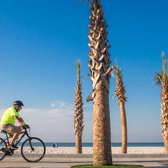 Fall Biking on Gulf Shore Beach