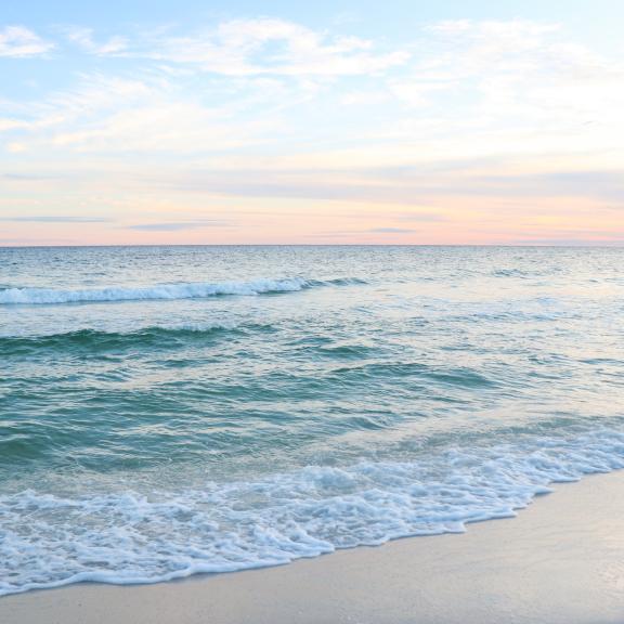 Gulf Shores and Orange Beach 