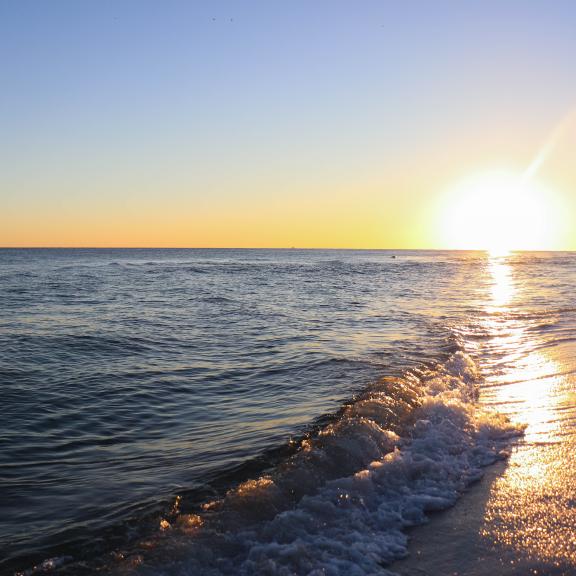 Savings Pass Gulf Shores