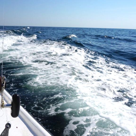 Orange Beach Offshore Fishing