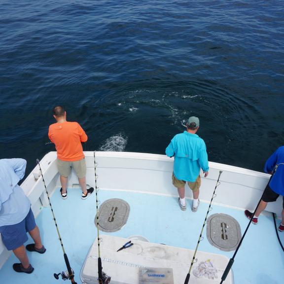 Deep Sea Fishing Orange Beach Gulf Shores